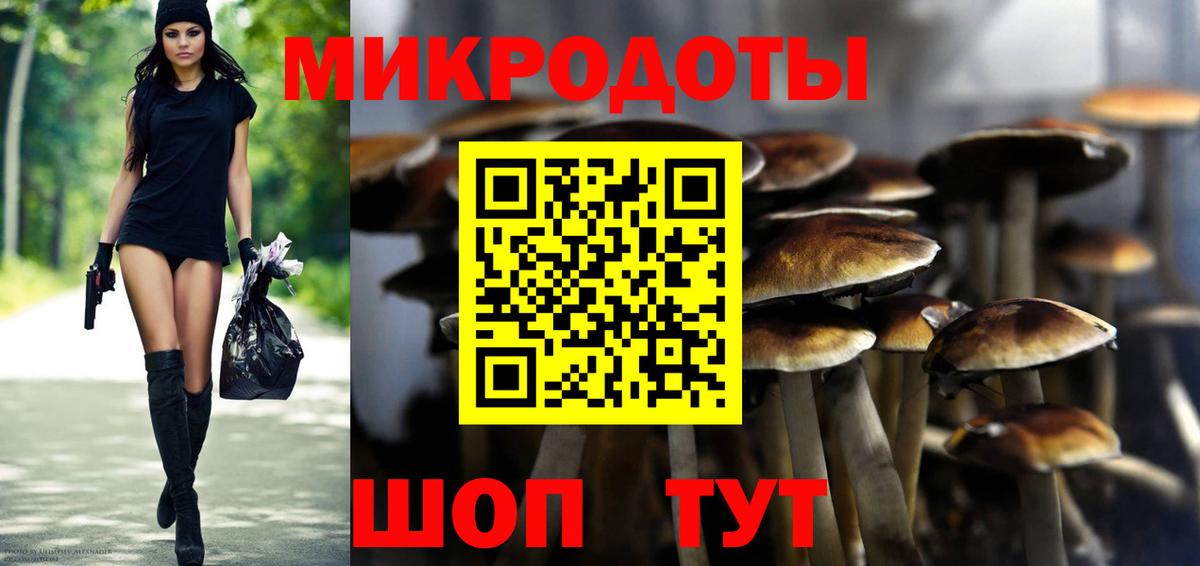Галлюциногенные грибы Psilocybine cubensis Бузулук