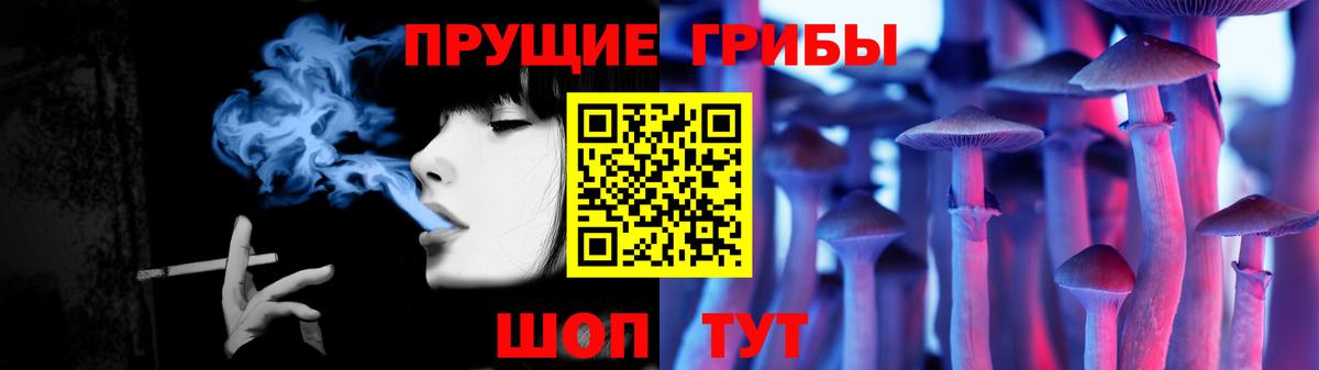Псилоцибиновые грибы Psilocybe  Псилоцибиновые грибы мухоморы  Бузулук  где купить наркоту  Вход с VPN 